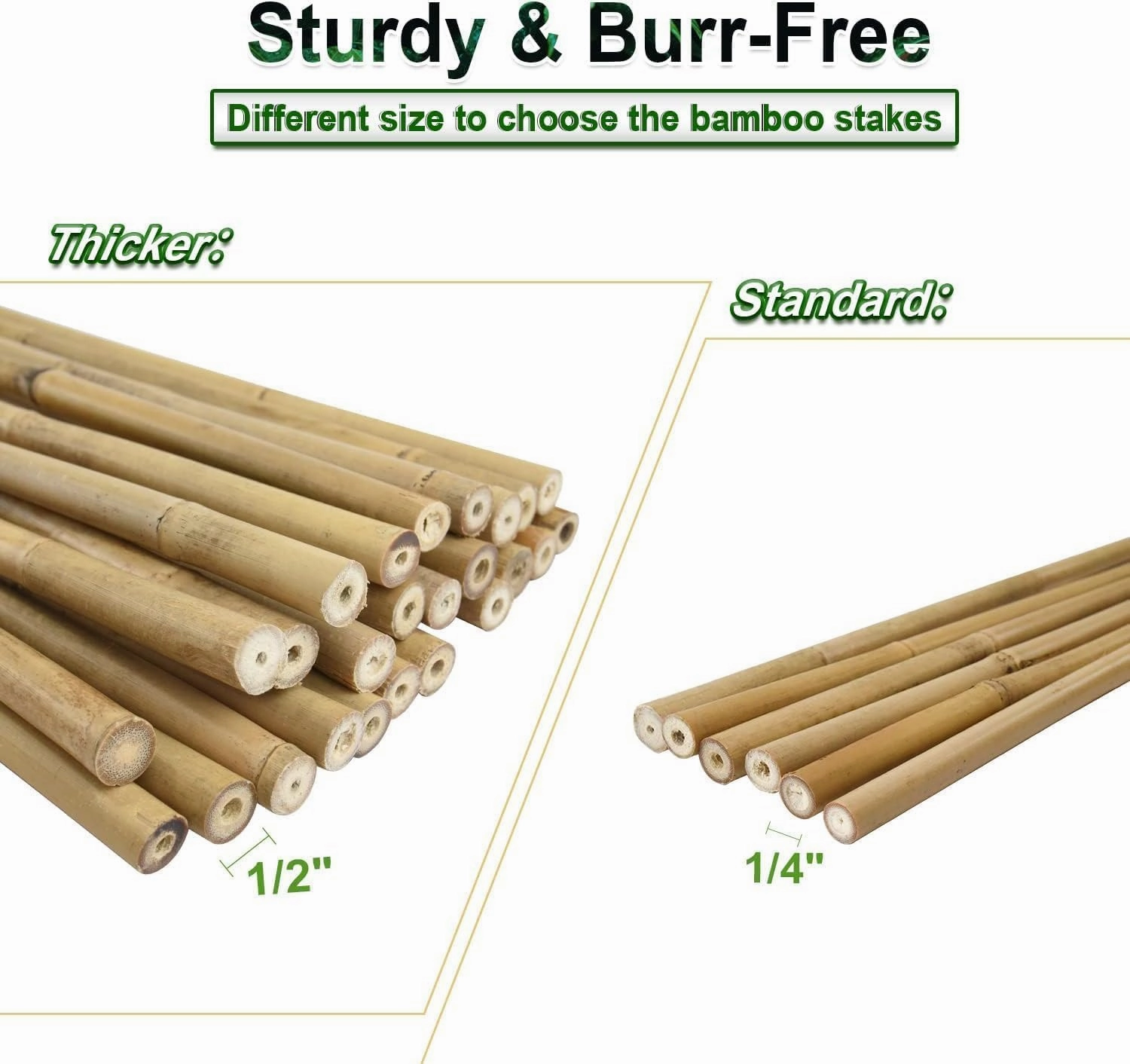 3/4" D 7 Feet Bamboo Stakes 50 Pack, Thicker Heavy-Duty Plant Stakes, Natural Garden Stakes for Bean, Tomato, Bean, Flowers,Trees Potted and Climbing Plant Support