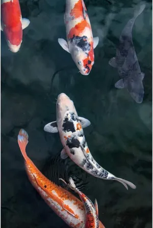 500 Pcs Jigsaw Puzzle Wooden Decompression Game for Children's Toys Home Decoration Painting Fish Gift for Women Men 20.5x15 Inch