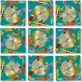 B. Dazzle - Dragonflies 9 Piece Scramble Square Puzzle - Challenging Brain Teaser for Children & Adults-Boosts Cognitive Function & Problem Solving