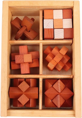 Brain Teaser Puzzles 3D Children's Adult IQ Test Puzzles for Unlock Interlock Puzzle Wooden Toys
