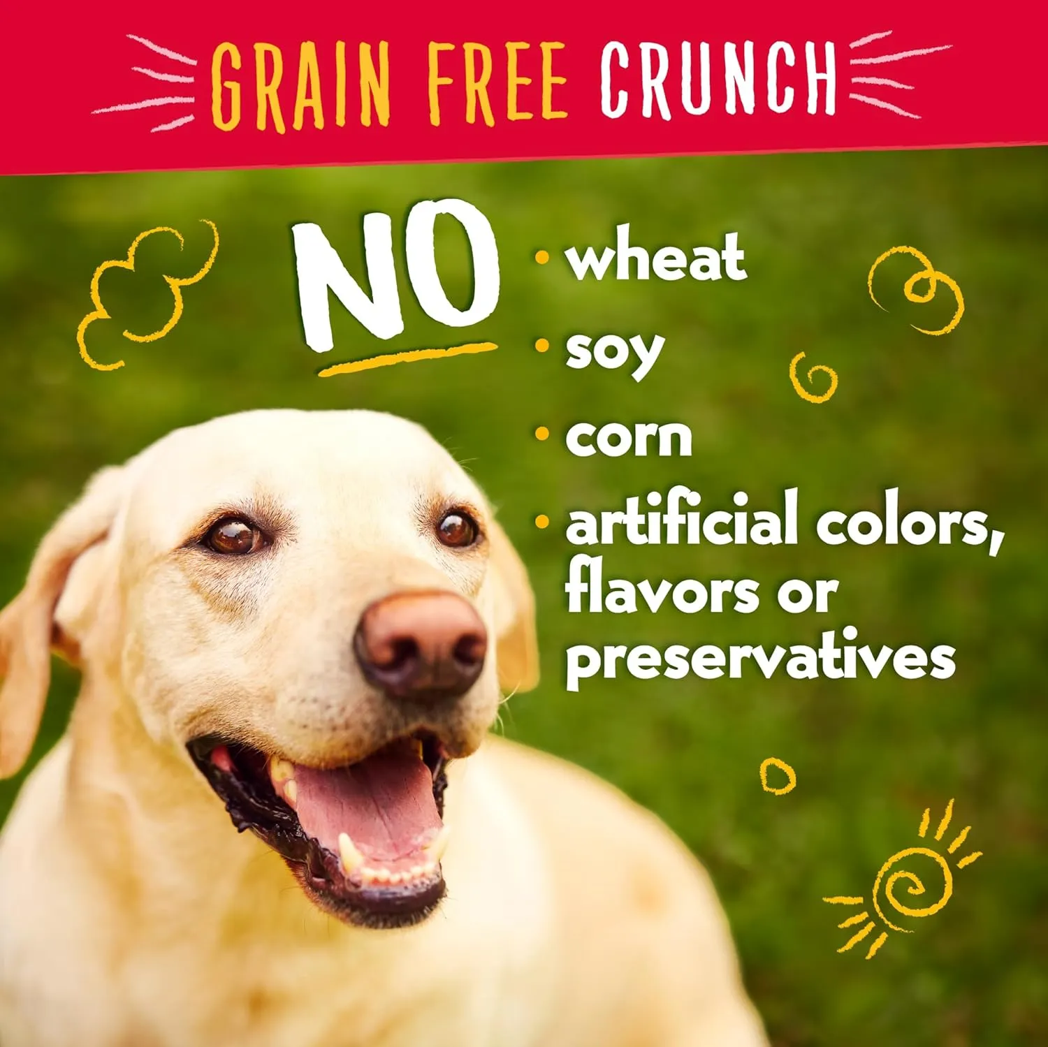 Charlee Bear Dog Treats Small Dogs Training Treats Crunchy Low Cal, Grain Free Canine Snacks, USA, Puppy Training Biscuits, Turkey, Sweet Potato & Cranberry, 4 Pack, 8oz Ea