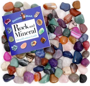 DANCING BEAR 20 Pounds (lbs) Tumbled Polished Natural & Dyed Gem Stones   Educational Color ID Sheet & 28 Page Rock & Mineral Identification Book. Average Stone Size 1 inch, Limited Edition