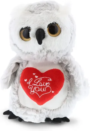 DolliBu I Love You Valentine Plush Big Eye Owl Bird - Cute Stuffed Animal with Red Heart and Name Personalization Gift for Valentines Day, Birthday, Anniversary, Romantic Date - 9 Inches