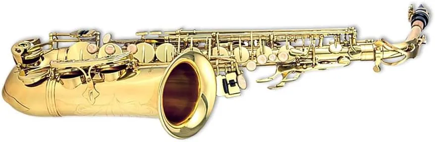 E Flat Alto Saxophone For Beginners & Professional Saxophones Student Alto Sax With Carrying Sax Case Mouthpiece Straps 10 Reeds Saxophone Beginner Kit