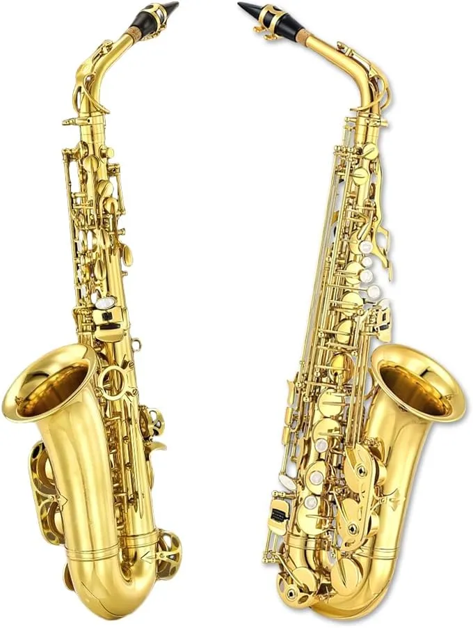 E Flat Alto Saxophone For Beginners & Professional Saxophones Student Alto Sax With Carrying Sax Case Mouthpiece Straps 10 Reeds Saxophone Beginner Kit