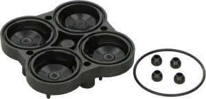 Flojet 20407-030 Check Valve Assembly Kit