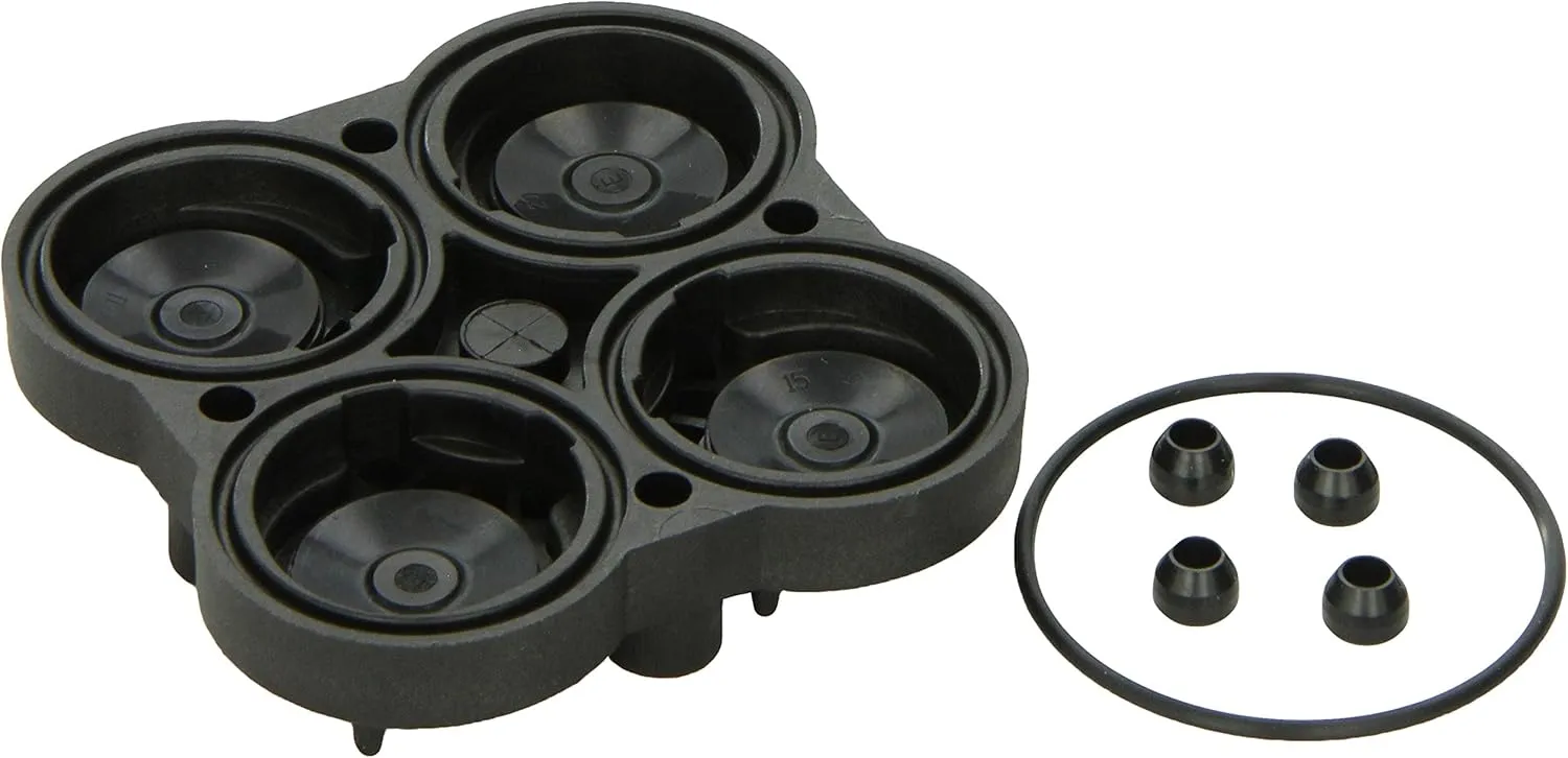 Flojet 20407-030 Check Valve Assembly Kit