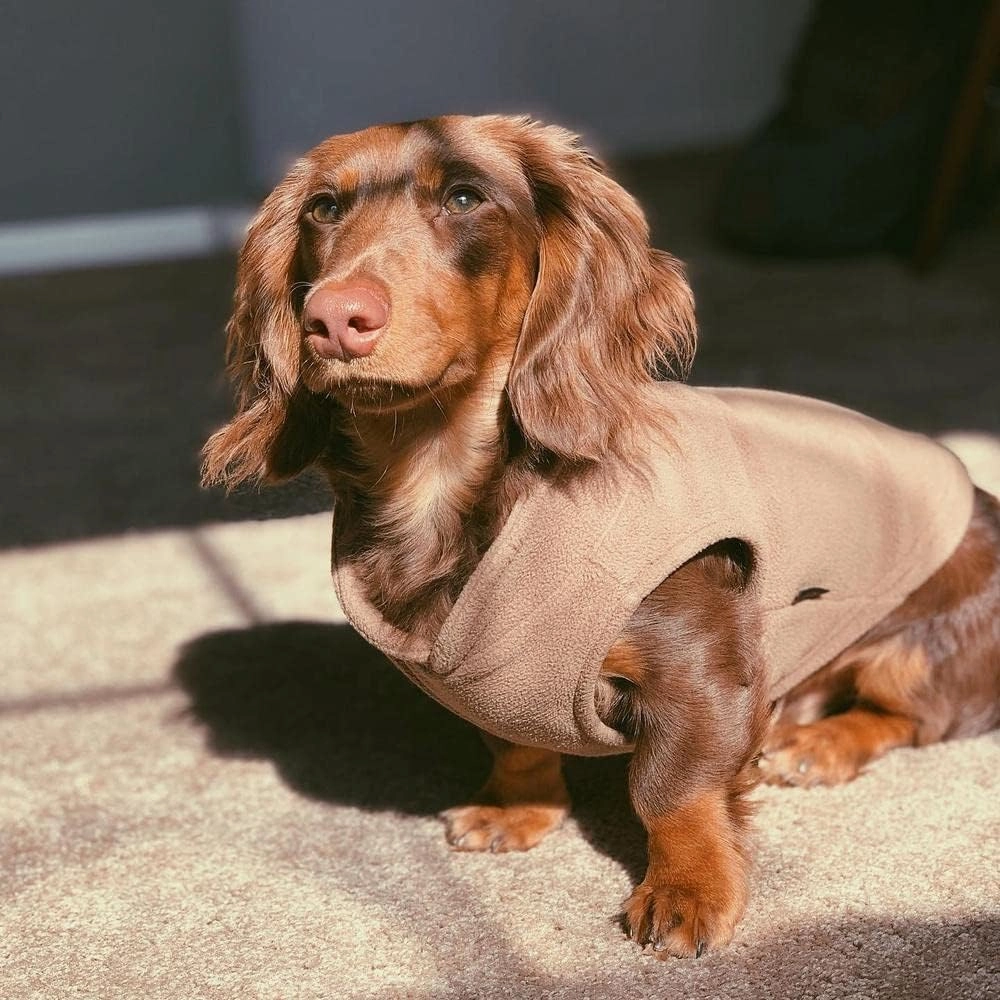 Gooby - Fleece Vest, Small Dog Pullover Fleece Jacket with Leash Ring, Clay, Medium