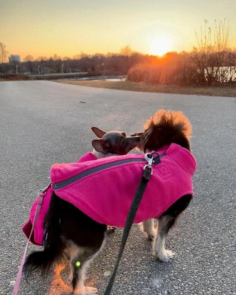 Gooby - Zip Up Fleece Vest, Fleece Jacket Sweater with Zipper Closure and Leash Ring, Pink, Medium