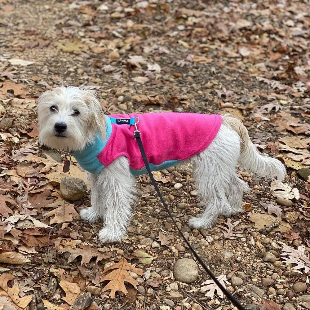 Gooby Half Stretch Fleece Vest Sweater - Purple, Large - Warm Pullover Jacket With D-Ring Leash - Winter Small Dog Coat - Cold Weather Clothes for Small Dogs Boy or Girl