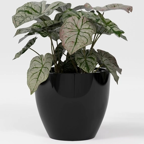 Greenline Fiberglass Lucy Extra Large Indoor/Outdoor Round Planter - 44" x 44" x 39" (Gloss Black)