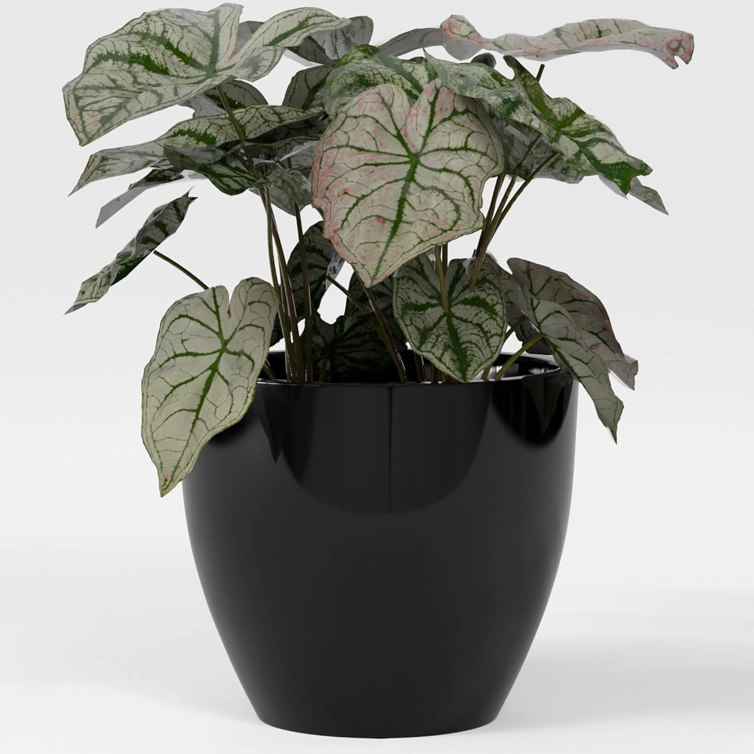 Greenline Fiberglass Lucy Extra Large Indoor/Outdoor Round Planter - 44" x 44" x 39" (Gloss Black)