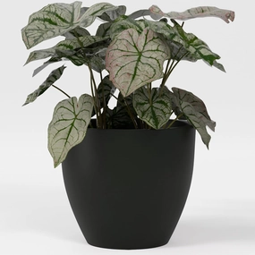 Greenline Fiberglass Lucy Extra Large Indoor/Outdoor Round Planter - 44" x 44" x 39" (Matte Black)