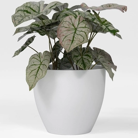 Greenline Fiberglass Lucy Extra Large Indoor/Outdoor Round Planter - 44" x 44" x 39" (Matte White)