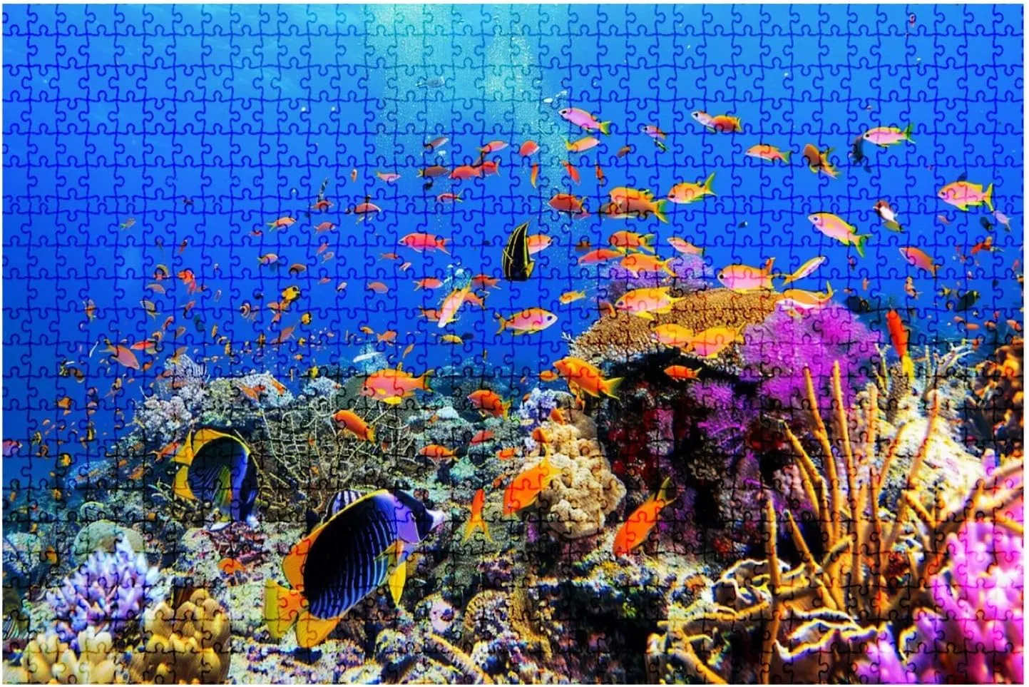 Jigsaw Puzzles 1000 Pieces for Adult Coral Diving Tropical Fish Puzzle Game for Family Wooden Puzzle Toy Educational Games Puzzles for Home Decor