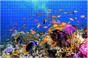 Jigsaw Puzzles 1000 Pieces for Adult Coral Diving Tropical Fish Puzzle Game for Family Wooden Puzzle Toy Educational Games Puzzles for Home Decor