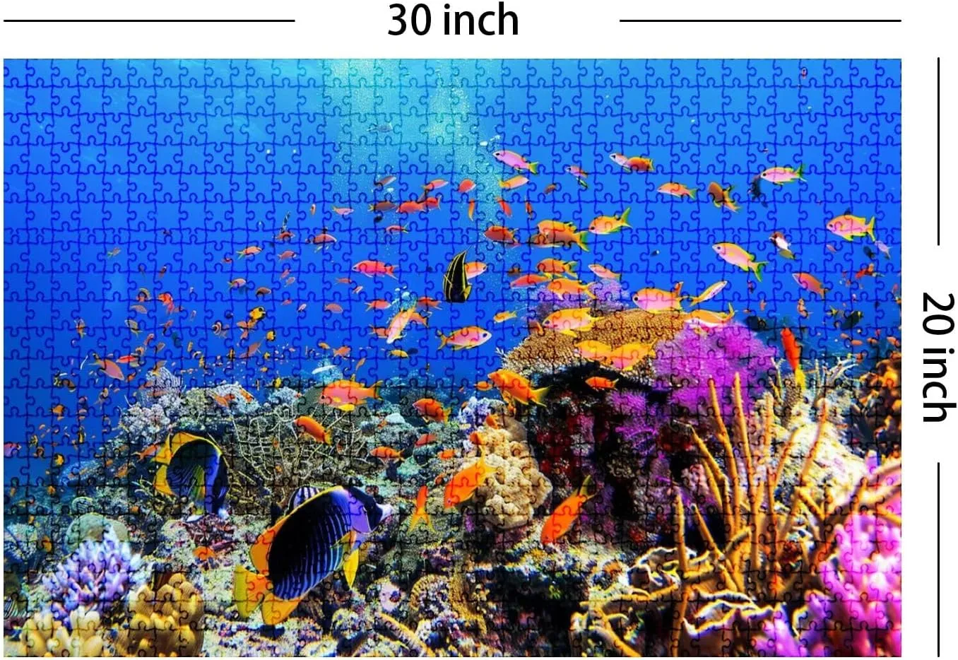 Jigsaw Puzzles 1000 Pieces for Adult Coral Diving Tropical Fish Puzzle Game for Family Wooden Puzzle Toy Educational Games Puzzles for Home Decor