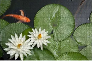 Jigsaw Puzzles 1000 Pieces for Adult Goldfish Lotus Pond Puzzle Game for Family Wooden Puzzle Toy Educational Games Puzzles for Home Decor