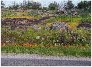 Jigsaw Puzzles 500 Pieces for Adult Big Bold Burst Beautiful Texas Wildflowers Puzzle Game for Family Wooden Puzzle Toy Educational Games Puzzles for Home Decor