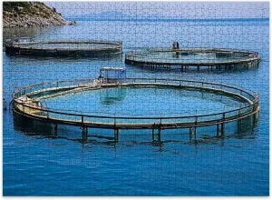 Jigsaw Puzzles 500 Pieces for Adult Fish Farm Puzzle Game for Family Wooden Puzzle Toy Educational Games Puzzles for Home Decor