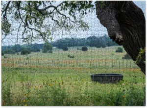 Jigsaw Puzzles 500 Pieces for Adult Native Wildflowers Plants Texas Hill Country Puzzle Game for Family Wooden Puzzle Toy Educational Games Puzzles for Home Decor