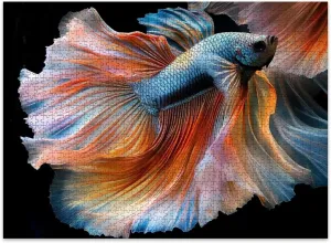 Jigsaw Puzzles 500 Pieces for Adult Yellow Betta Feathers Siamese Fighting Fish Betta Puzzle Game for Family Wooden Puzzle Toy Educational Games Puzzles for Home Decor