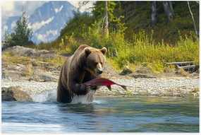 Jigsaw Puzzles 1000 Pieces for Adult Bear Fishing Salmons Peninsula Puzzle Game for Family Wooden Puzzle Toy Educational Games Puzzles for Home Decor