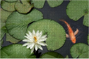 Jigsaw Puzzles 1000 Pieces for Adult Fish Lotus Pond Puzzle Game for Family Wooden Puzzle Toy Educational Games Puzzles for Home Decor