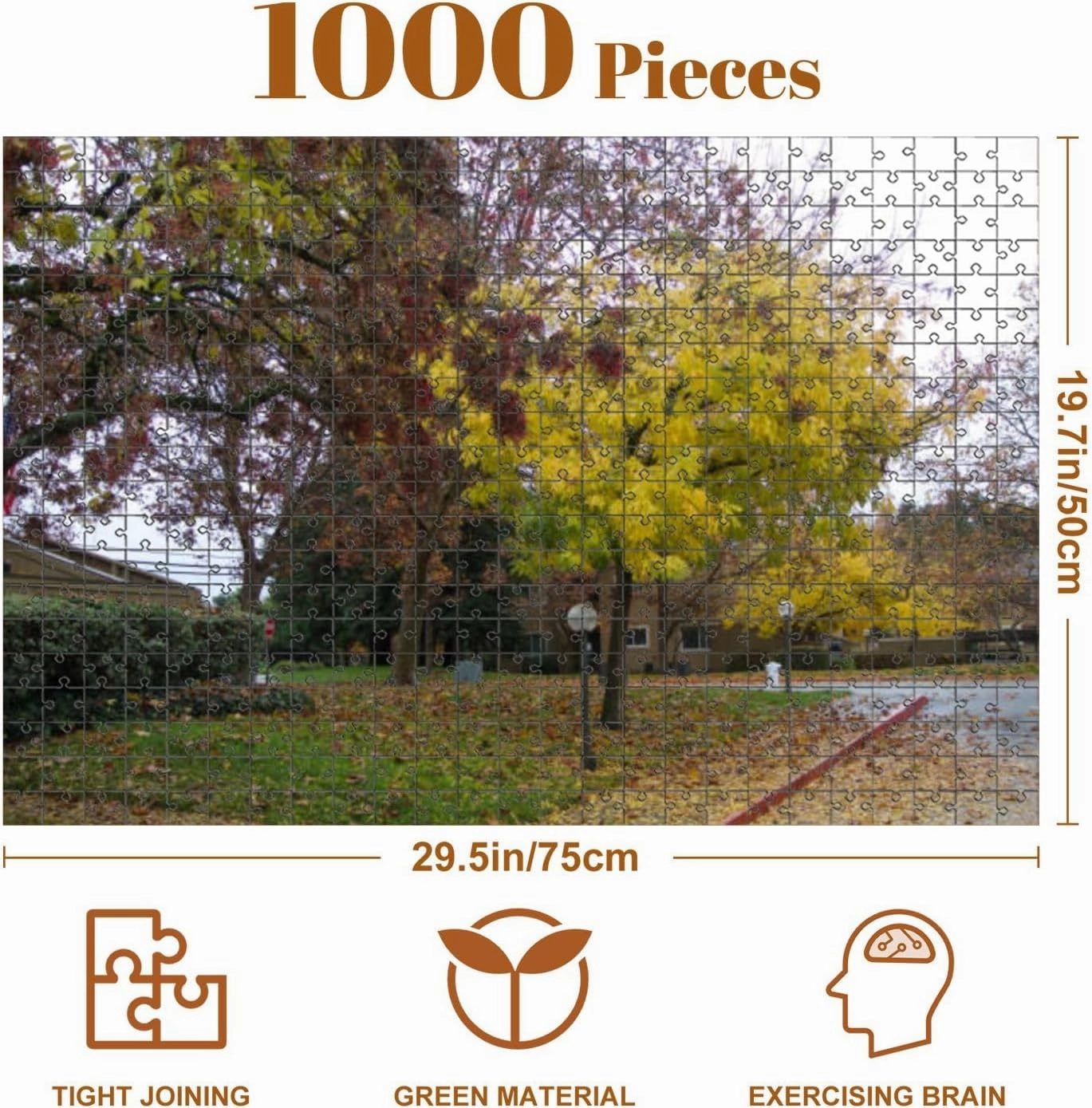 Jigsaw Puzzles 1000 Pieces for Adult Riverfront Regional Park Two Beautiful Lakes for Fishing Kayaking Puzzle Game for Family Wooden Puzzle Toy Educational Games Puzzles for Home Decor