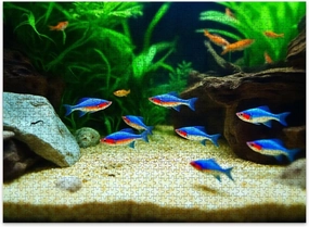 Jigsaw Puzzles 500 Pieces for Adult landscaped Freshwater Tropical Aquarium Fish Tank neon Guppies Puzzle Game for Family Wooden Puzzle Toy Educational Games Puzzles for Home Decor