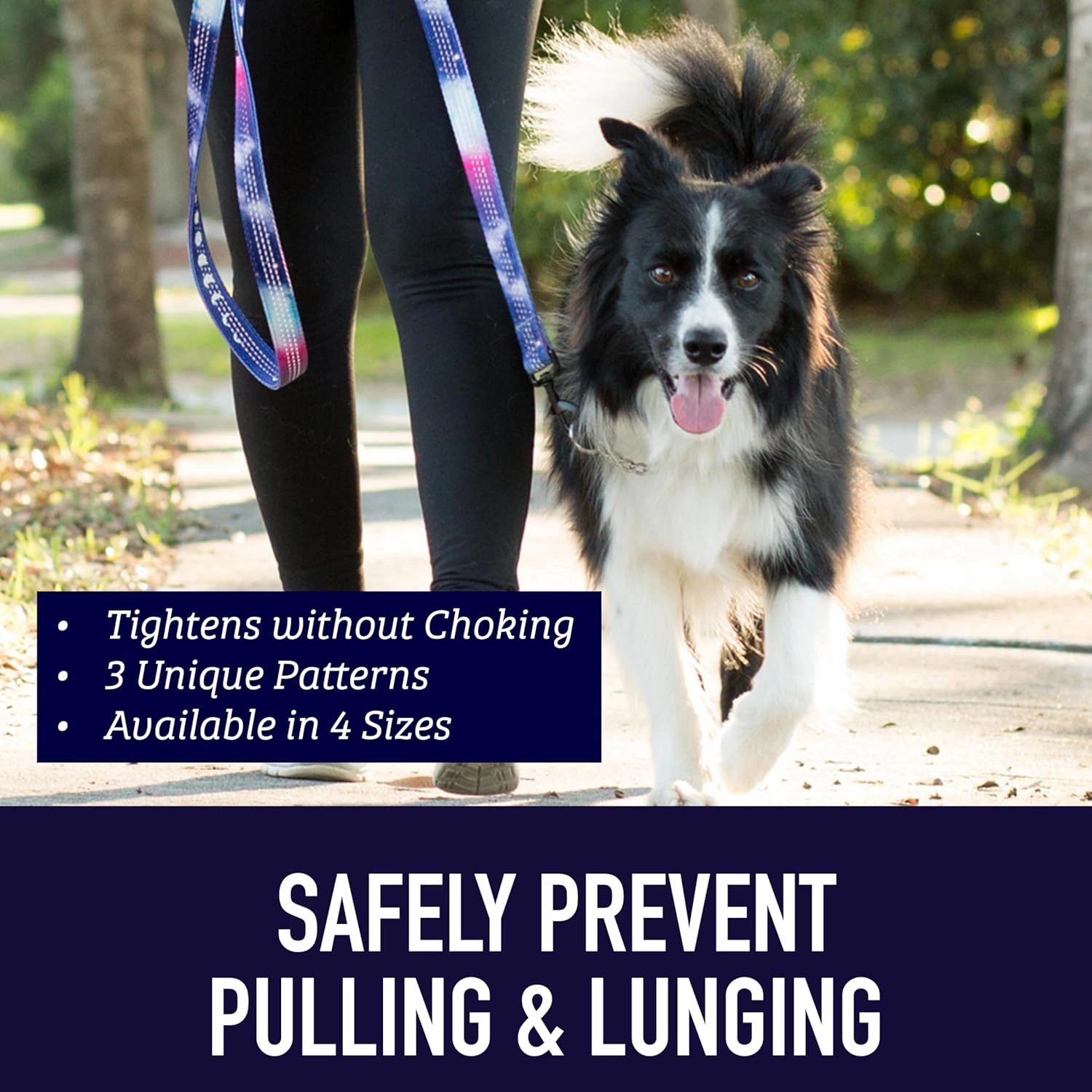 Leash Boss Martingale Collar for Dogs - Steel Chain | Reflective Nylon Dog Collar for Large Dogs, Medium and Small Dogs | No Pull Pet Training Collar Small