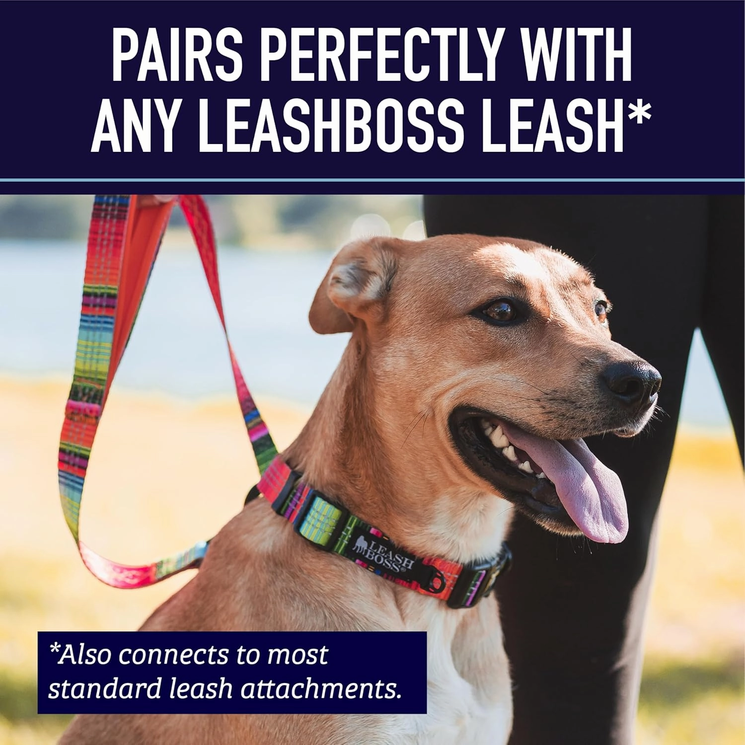 Leash Boss Martingale Collar for Dogs - Steel Chain | Reflective Nylon Dog Collar for Large Dogs, Medium and Small Dogs | No Pull Pet Training Collar Small