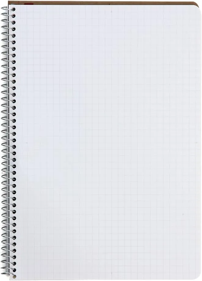 Maruman N247ES Notebook, Ring Notebook, 0.2 inch (5 mm), Square Ruled, Basic, A5, 80 Pieces, Set of 5