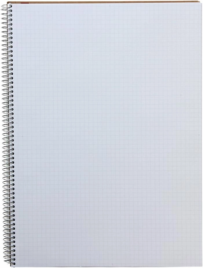 Maruman N245 Notebook, Ring Notebook, 0.2 inch (5 mm), Square Ruled, Basic, A4, 40 Pieces, Set of 5
