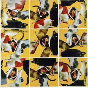 Scramble Squares Cat 9 Piece Challenging Puzzle - Ultimate Brain Teaser and Mind Game for Young and Senior Alike - Engaging and Creative with Beautiful Artwork - by B.Dazzle