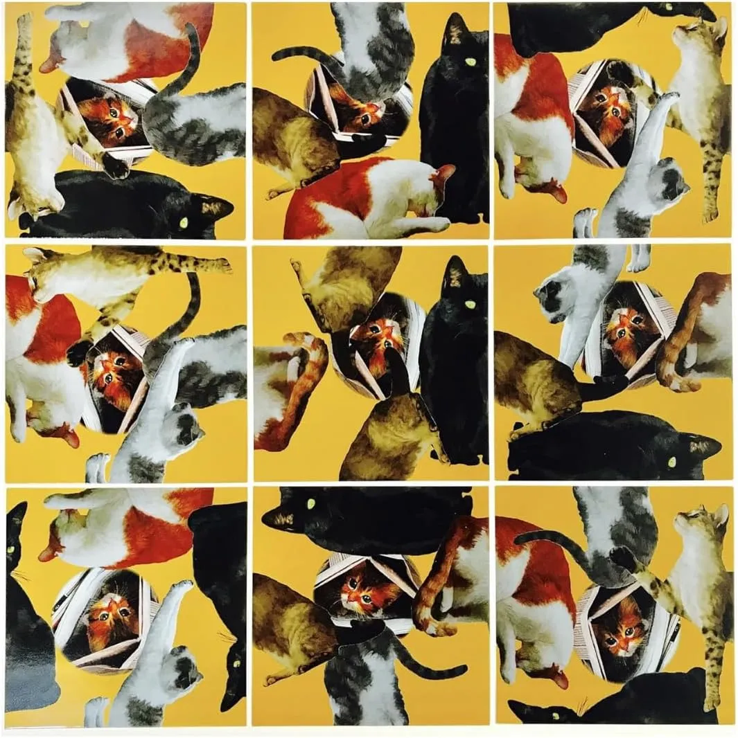 Scramble Squares Cat 9 Piece Challenging Puzzle - Ultimate Brain Teaser and Mind Game for Young and Senior Alike - Engaging and Creative with Beautiful Artwork - by B.Dazzle