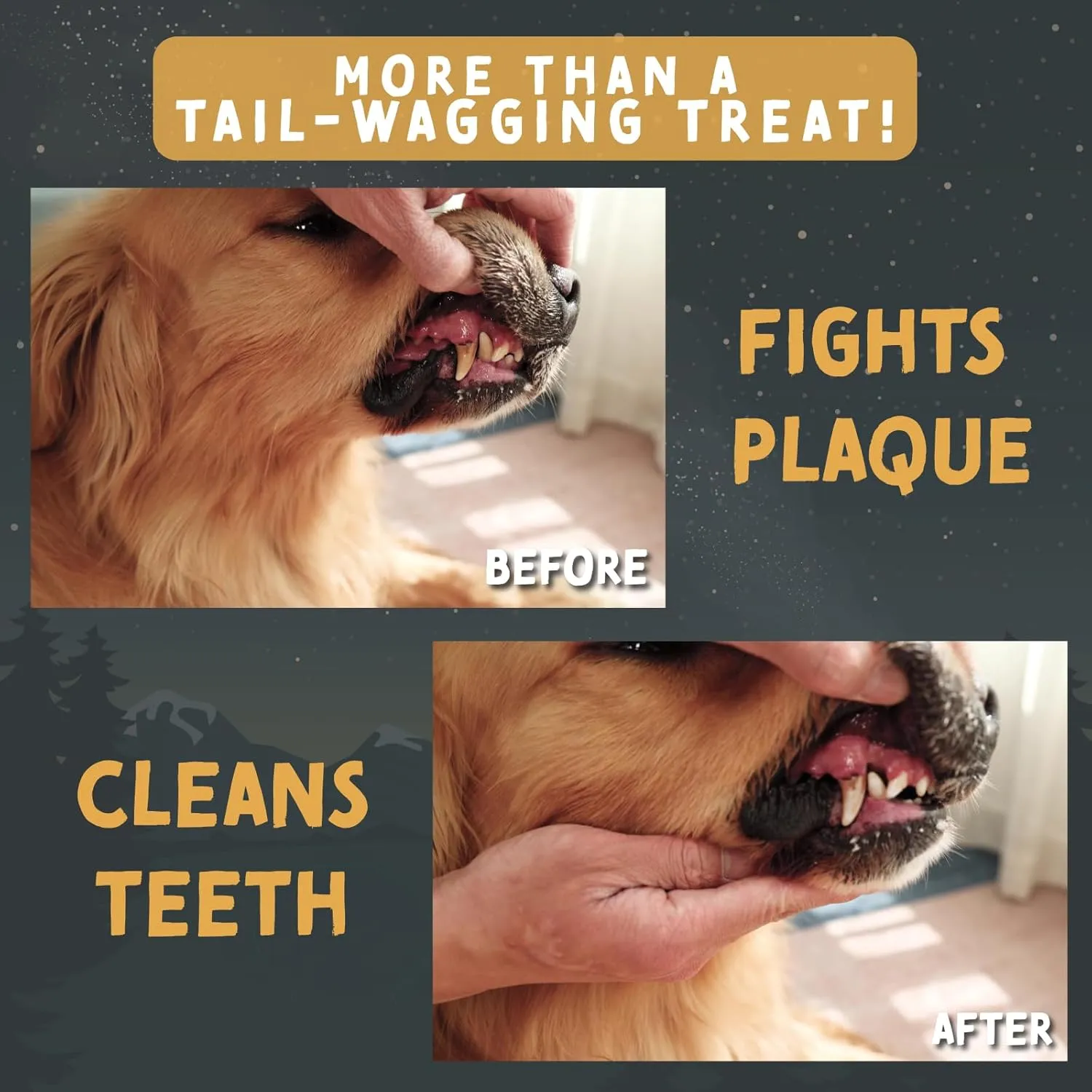 Tails & Tales Whole Elk Antler for Dogs X-Large 8-10" Long-Lasting & Durable Dog Bones for Aggressive Chewers or Teething Puppies No Additives, Premium Grade A, Naturally Shed in USA