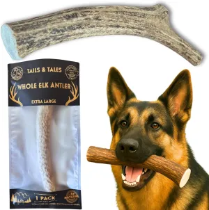 Tails & Tales Whole Elk Antler for Dogs X-Large 8-10" Long-Lasting & Durable Dog Bones for Aggressive Chewers or Teething Puppies No Additives, Premium Grade A, Naturally Shed in USA