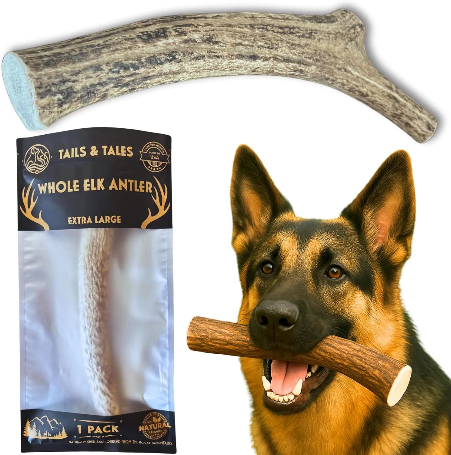 Tails & Tales Whole Elk Antler for Dogs X-Large 8-10" Long-Lasting & Durable Dog Bones for Aggressive Chewers or Teething Puppies No Additives, Premium Grade A, Naturally Shed in USA
