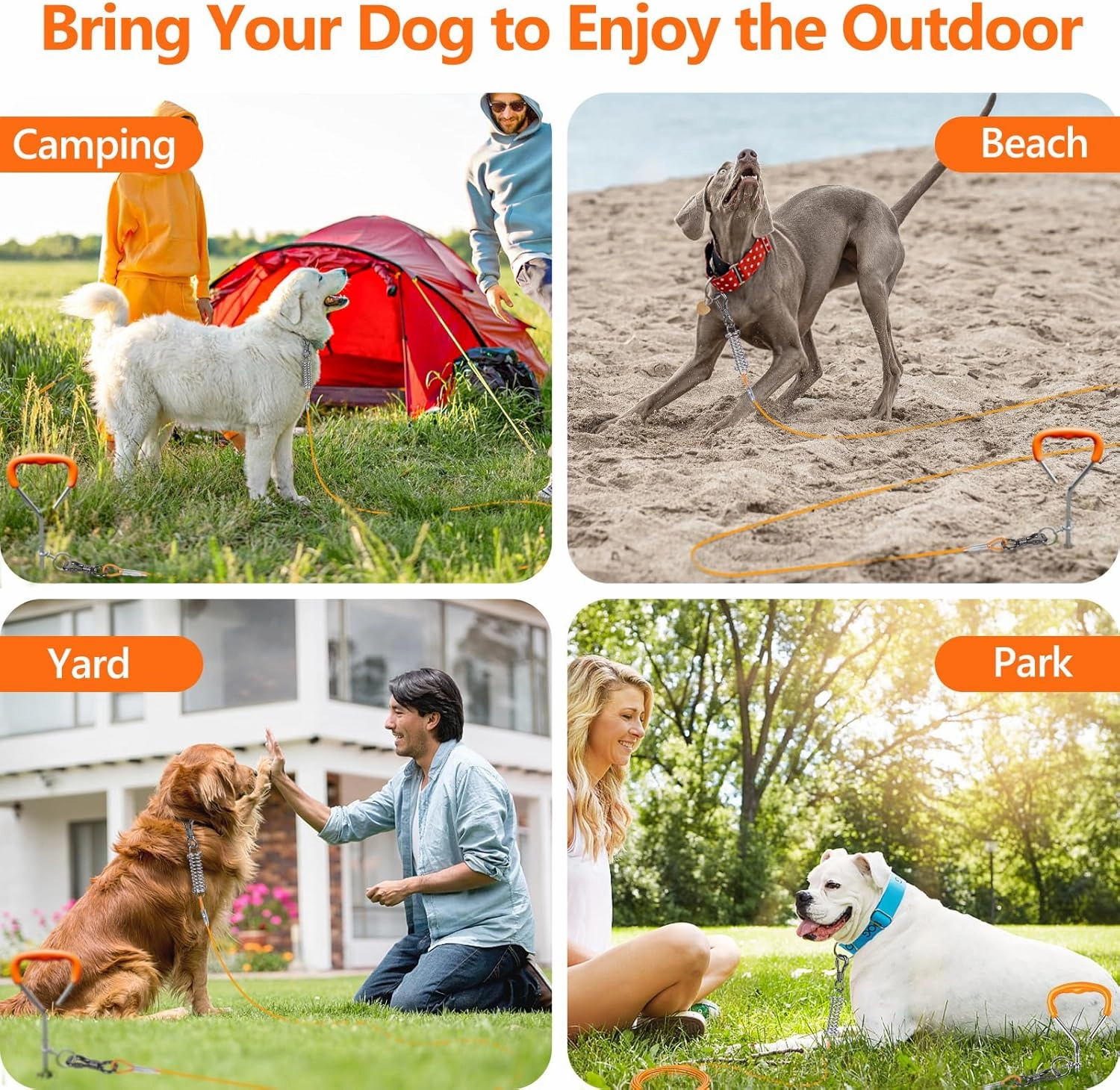 XiaZ Dog Tie Out Cable and Stake, 30 FT Leash with Swivel Hook and Shock Absorbing Spring, for Yard, Outdoor, and Camping, Up to 125 LBS