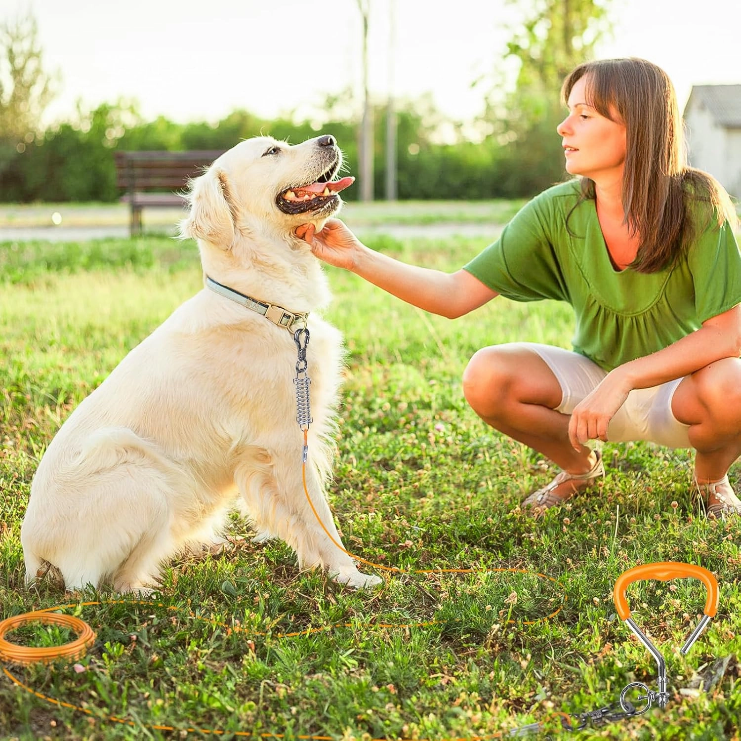 XiaZ Dog Tie Out Cable and Stake, 30 FT Leash with Swivel Hook and Shock Absorbing Spring, for Yard, Outdoor, and Camping, Up to 125 LBS