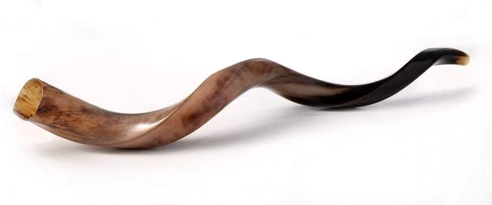 Yaliland Shofar Horn Musical Instrument - Authentic Kosher Kudu Ram Horns from Israel - Includes Bag, Book Guide, Anti-Odor Spray, 3 Brushes - Ideal for Religious Ceremonies - 32"-34", Fully Polished