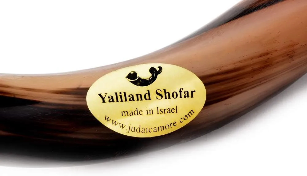 Yaliland Shofar Horn Musical Instrument - Authentic Kosher Kudu Ram Horns from Israel - Includes Bag, Book Guide, Anti-Odor Spray, 3 Brushes - Ideal for Religious Ceremonies - 32"-34", Fully Polished