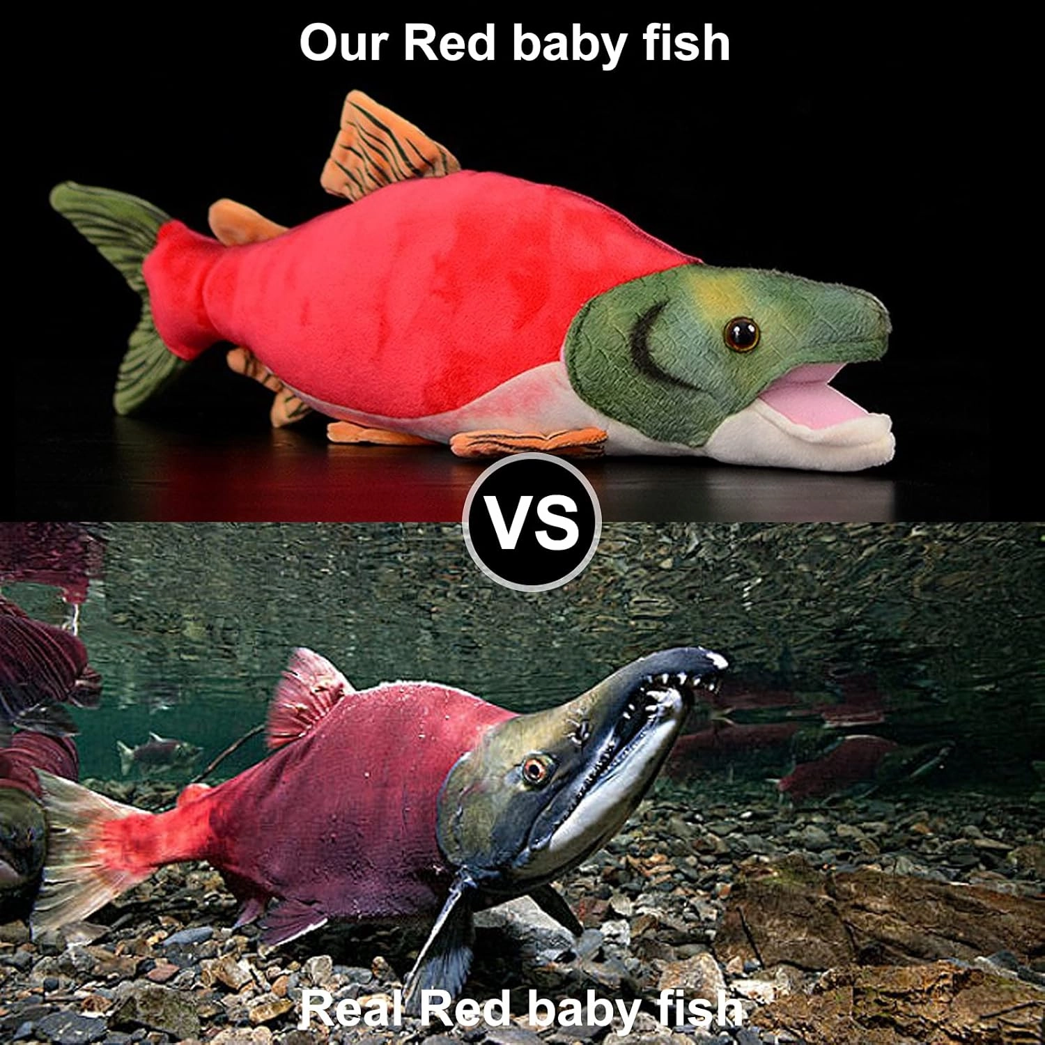 ZHONGXIN 15" Cute Sockeye Salmon Plush Toy, Stuffed Animal for Kids, Deep Sea Collection Gift (Sockeye Salmon)